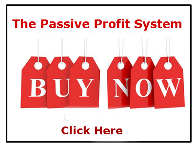 Our Passive Profit System review concludes that Adam Nolan's course will help you establish a successful digital newsletter business