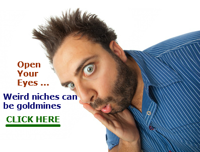 Our Weird Niche Content review concludes that Mark Bishop's course, Weird Niche Content, is well worth the cost